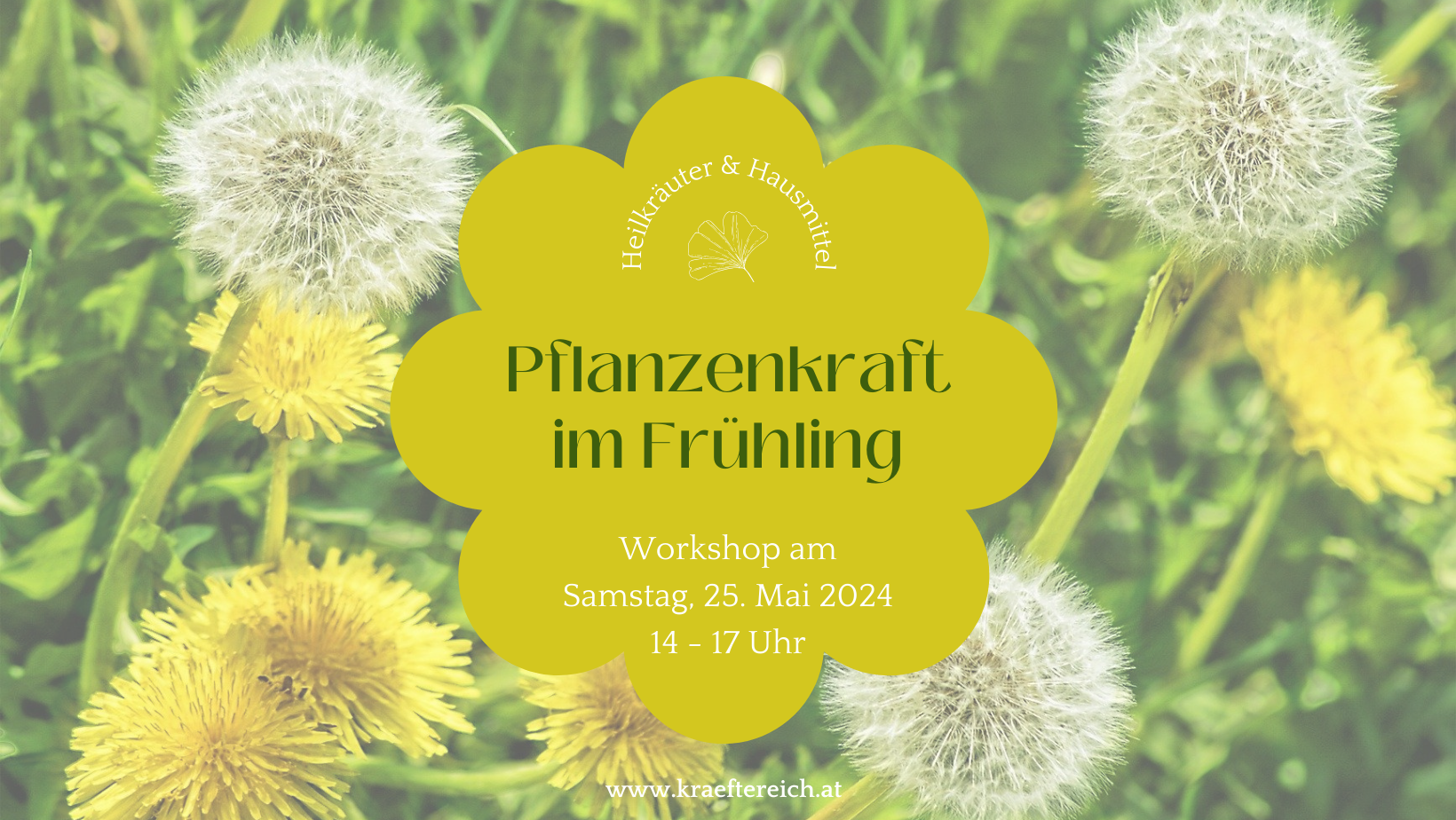 Workshop: Pflanzenkraft im Frühling