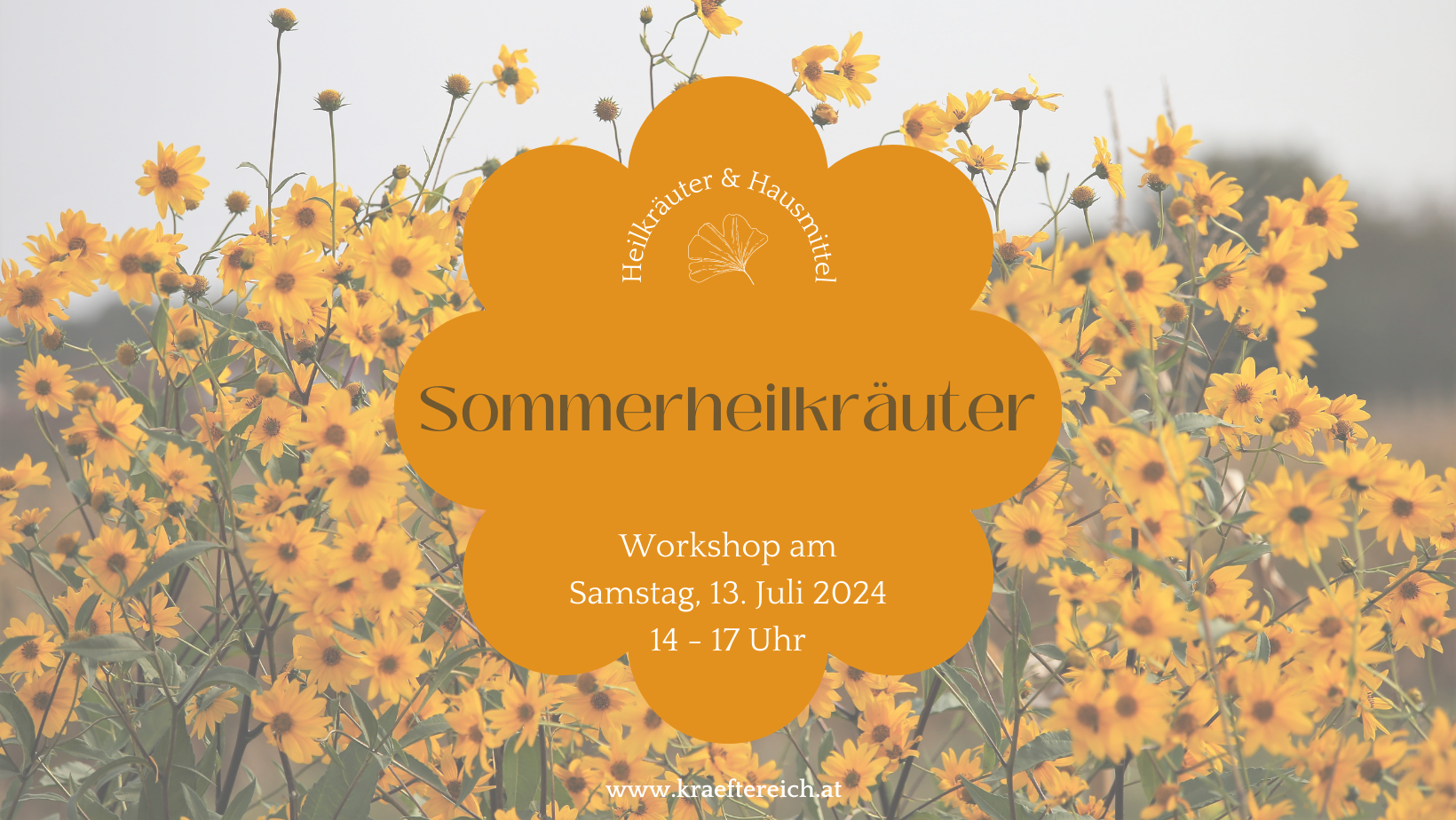 Workshop: Sommerheilkräuter
